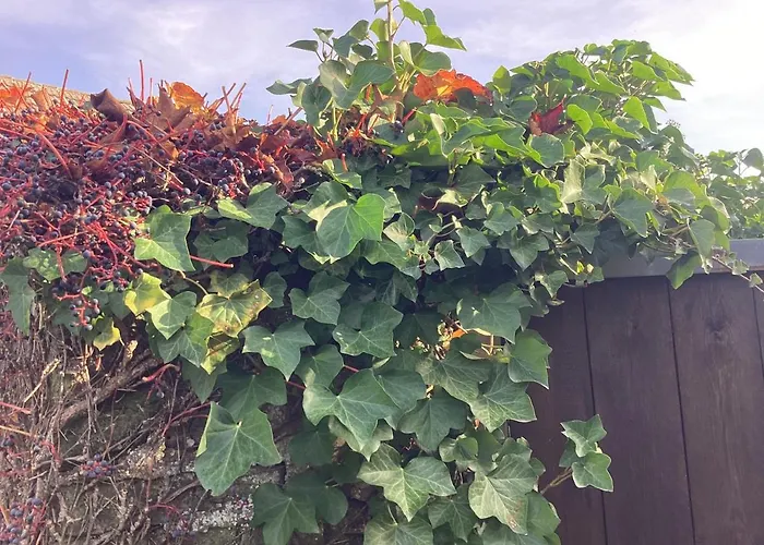 Haus Lies شقة Rehfelde